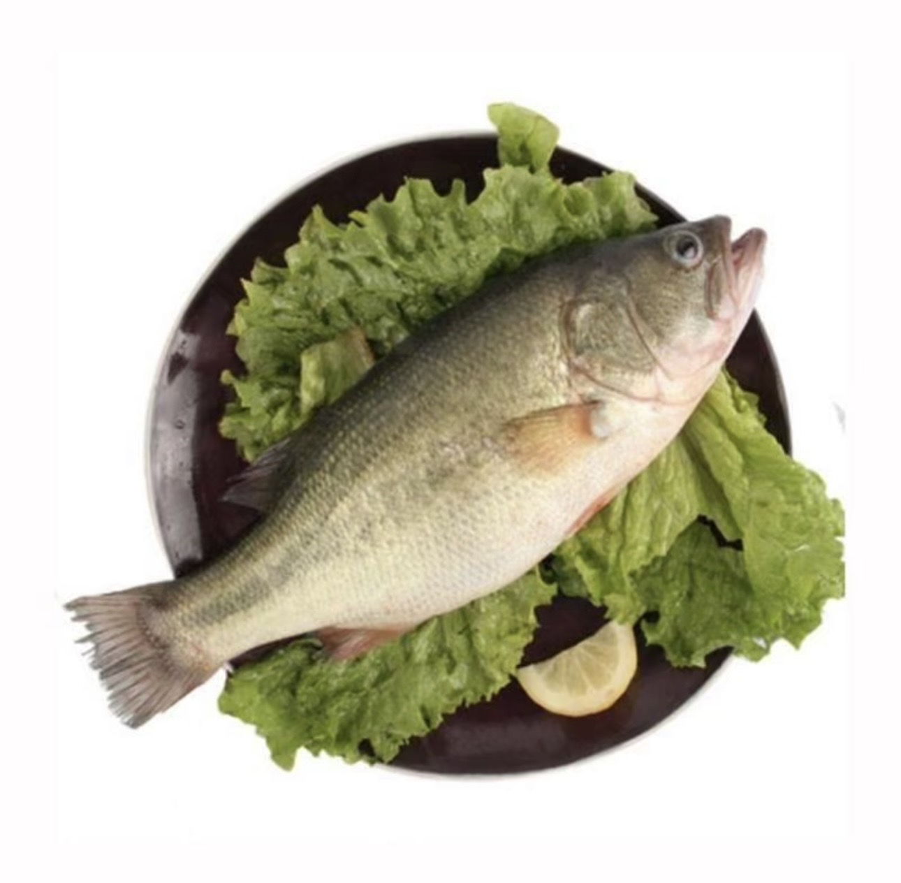 鲜活海鲈鱼（默认宰杀）约500g/份